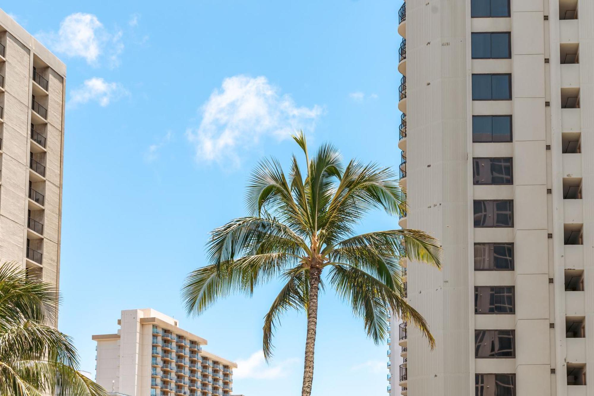 Mountain View Condo Near Beach With Free Parking! Χονολουλού Εξωτερικό φωτογραφία